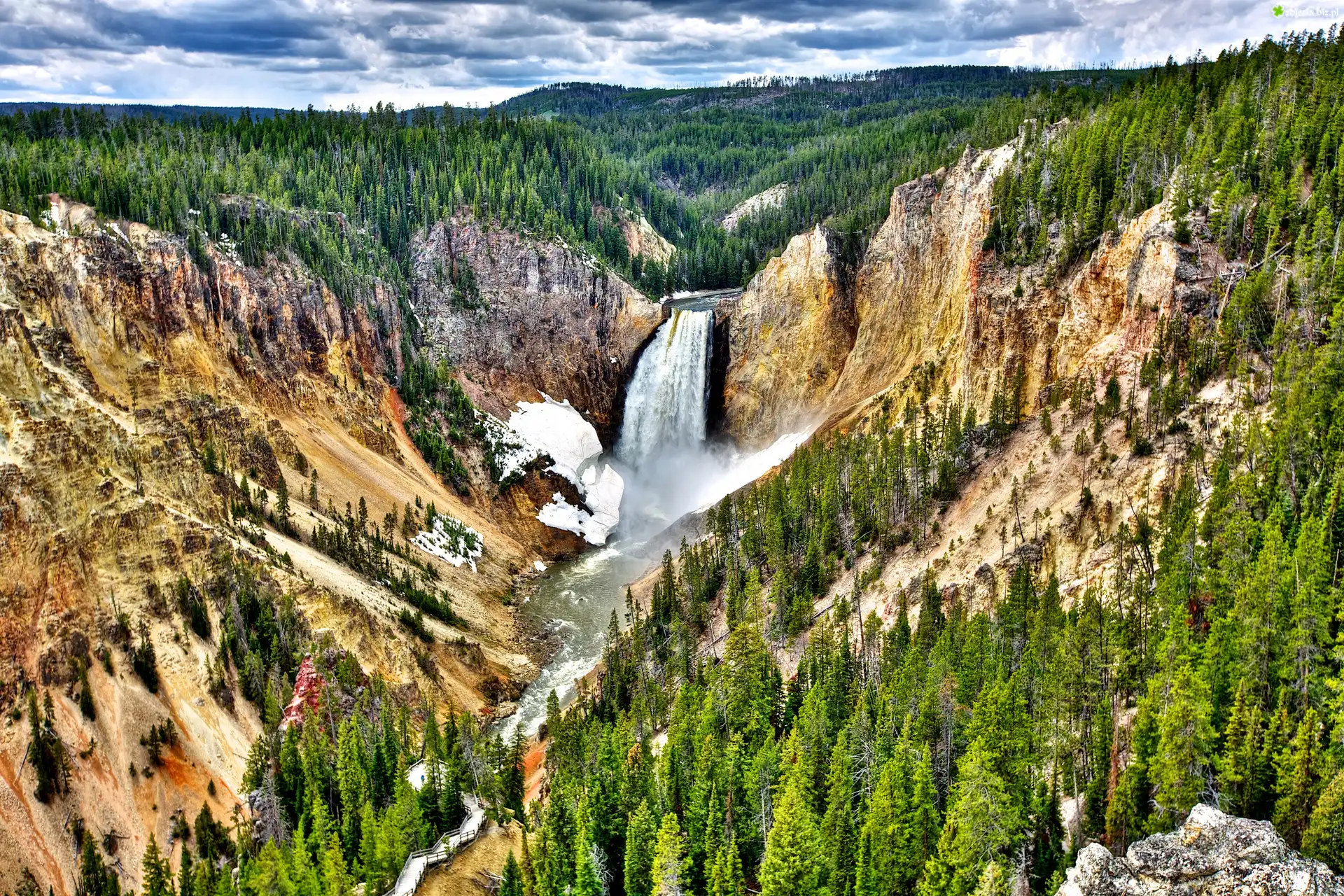 Yellowstone Park Usa 