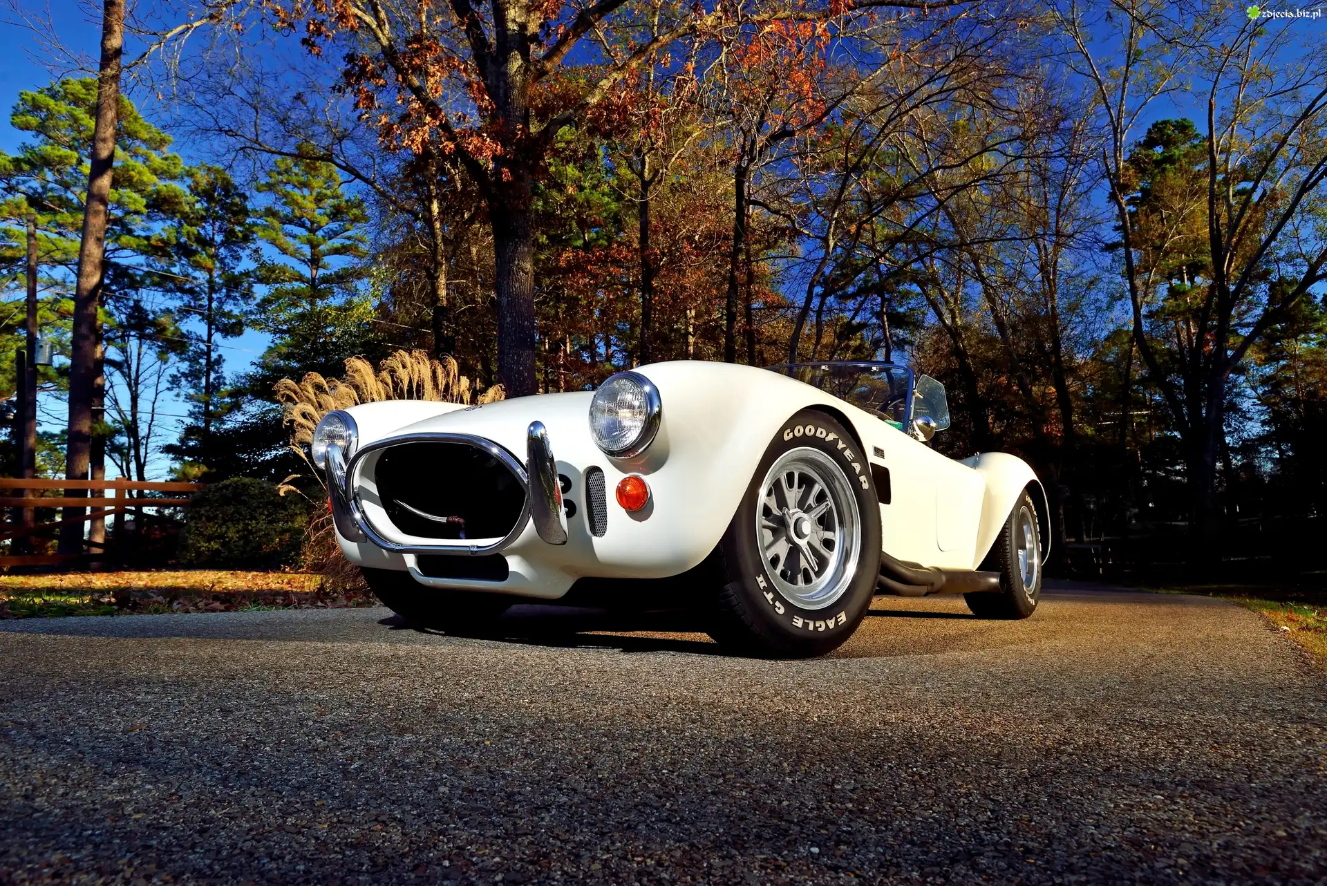 Zabytkowy, AC Cobra 427, Shelby, 1967