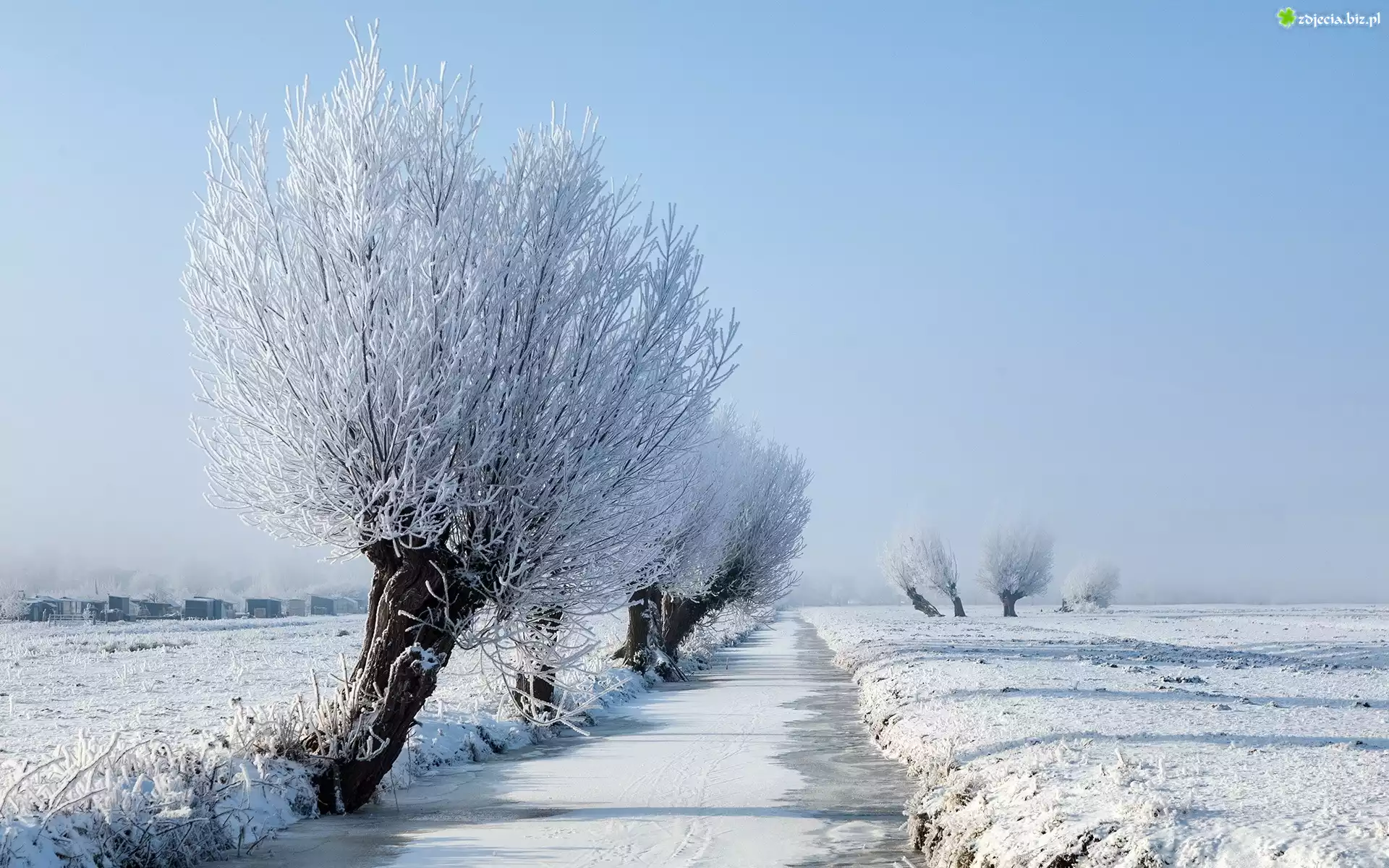 Zamarznięta, Rzeka, Drzewa, Pola, Śnieg