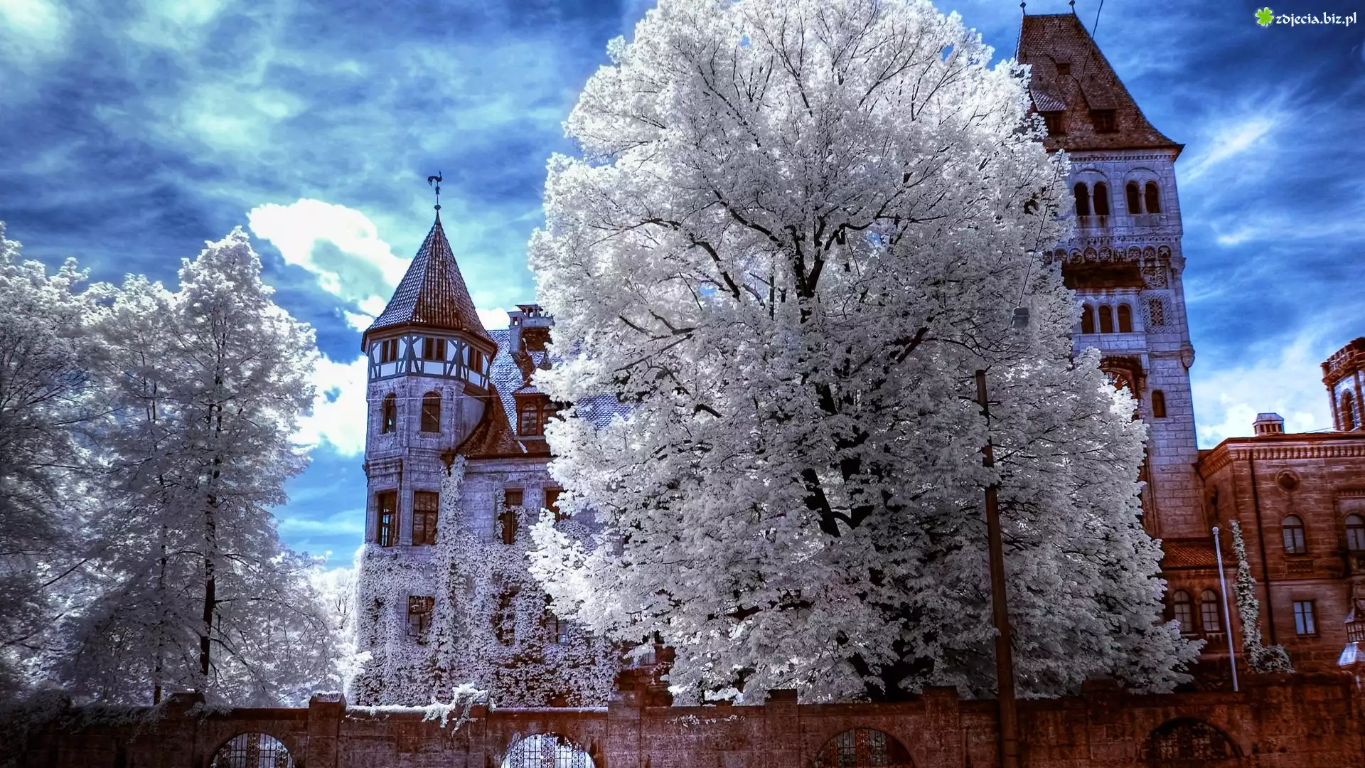 Zamek w Branie, Castelul Bran, Miejscowość Bran, Siedmiogród, Rumunia