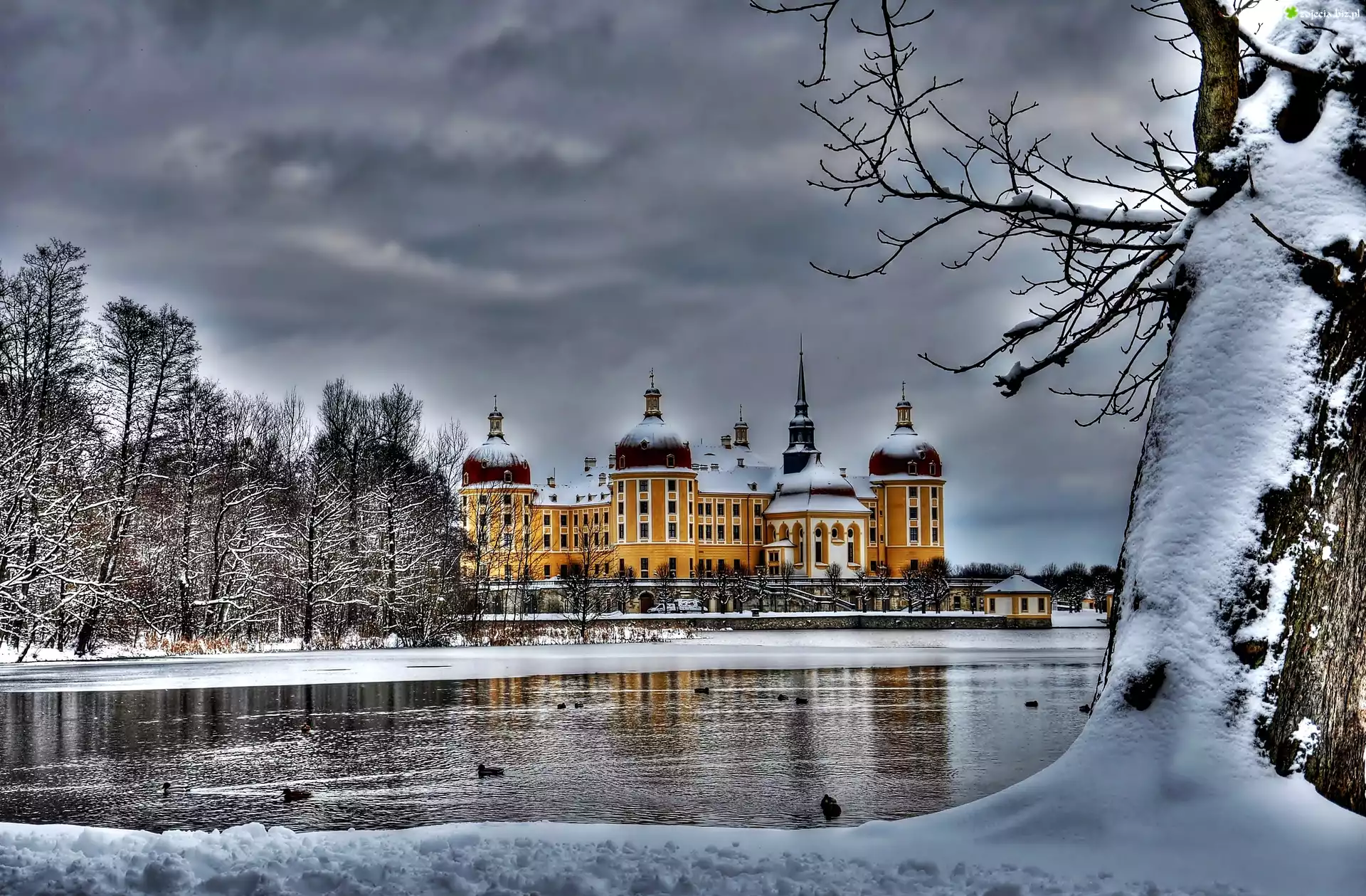 Niemcy, Saksonia, Miejscowość Moritzburg, Zamek Moritzburg, Jezioro Waldesee, Śnieg, Zima, Drzewa