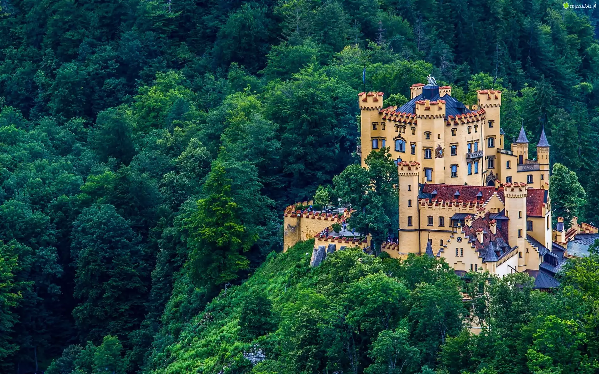 Zamek, Hohenschwangau, Góry, Las, Niemcy
