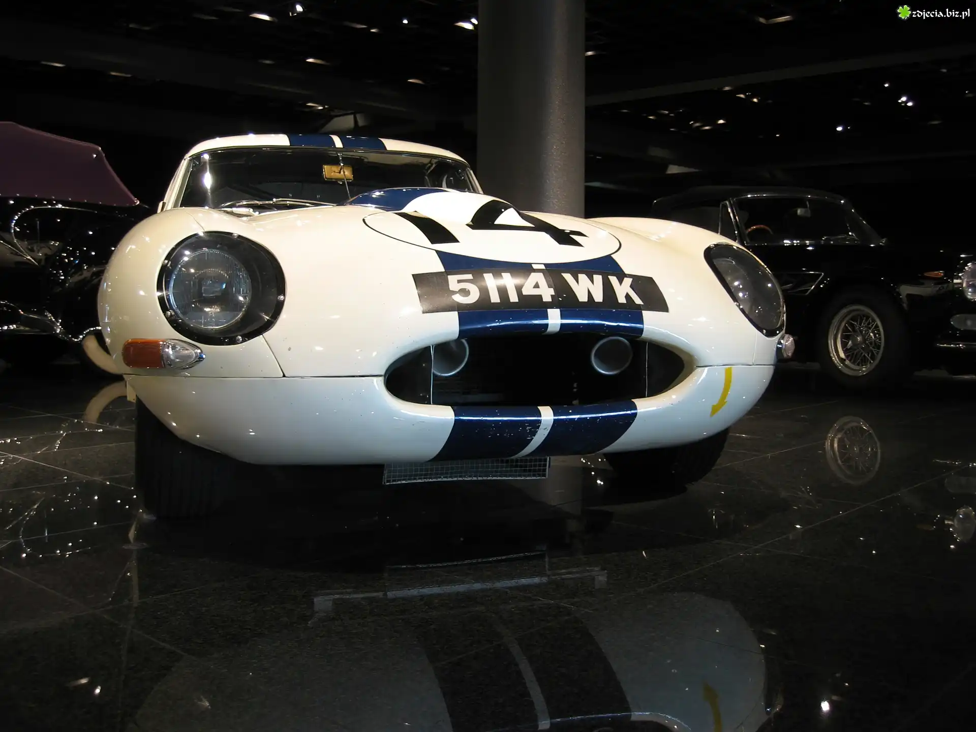 Jaguar , zderzak , światła