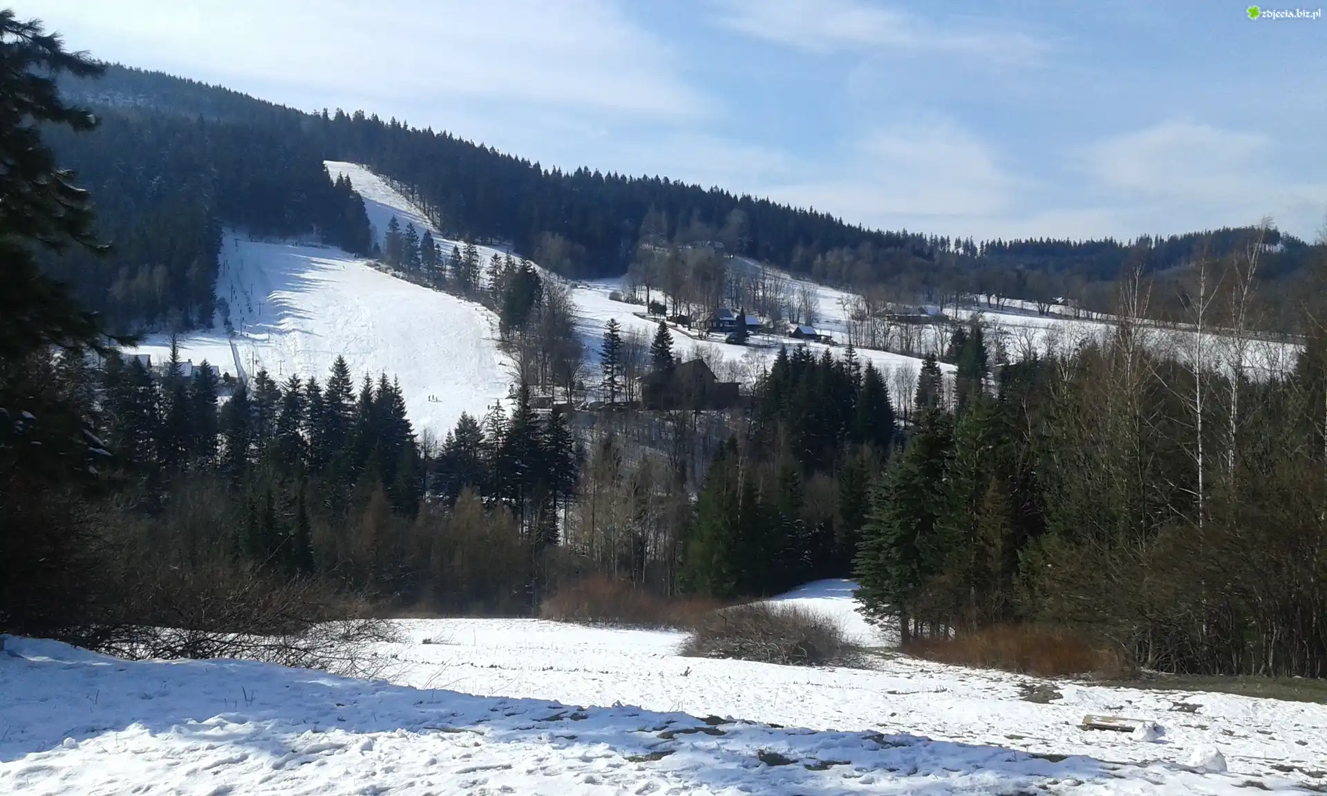 zima