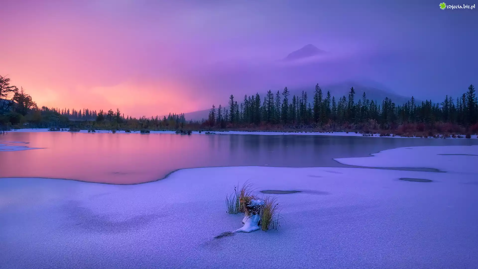 Zima, Jezioro, Vermilion Lake, Szczyt, Góry, Canadian Rockies, Park Narodowy Banff, Drzewa, Mgła, Alberta, Kanada