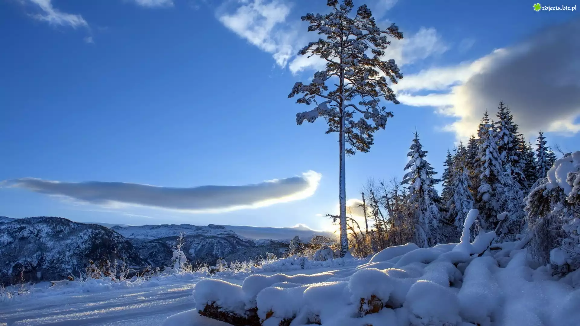 Zima, Śnieg, Drzewa, Góry