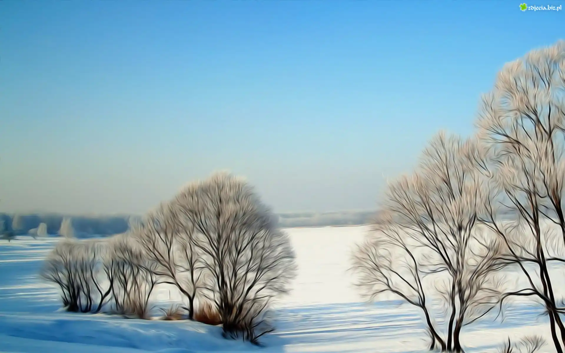 Zima, Las, Grafika, Komputerowa, Fractalius