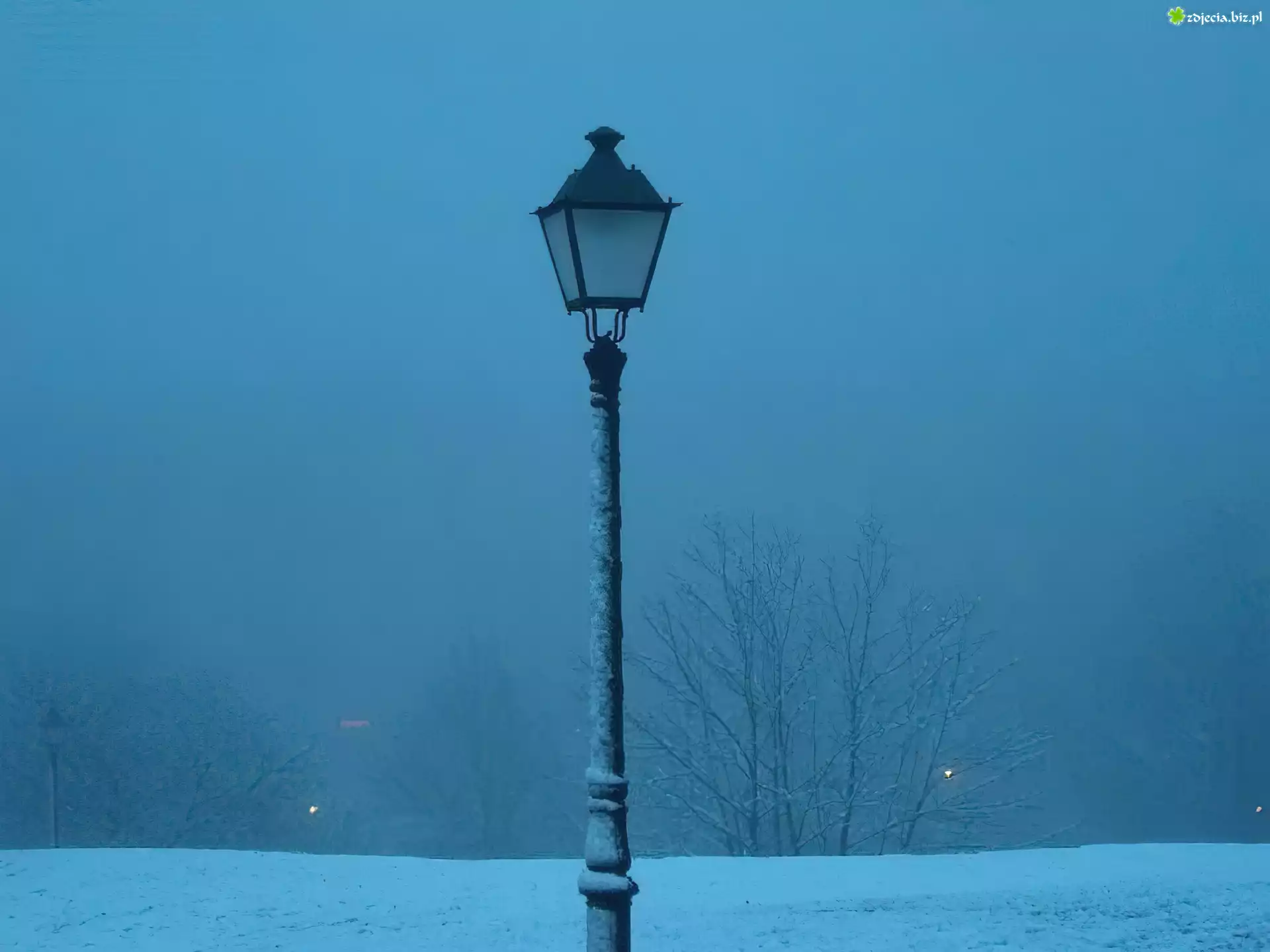 Zima,lampa