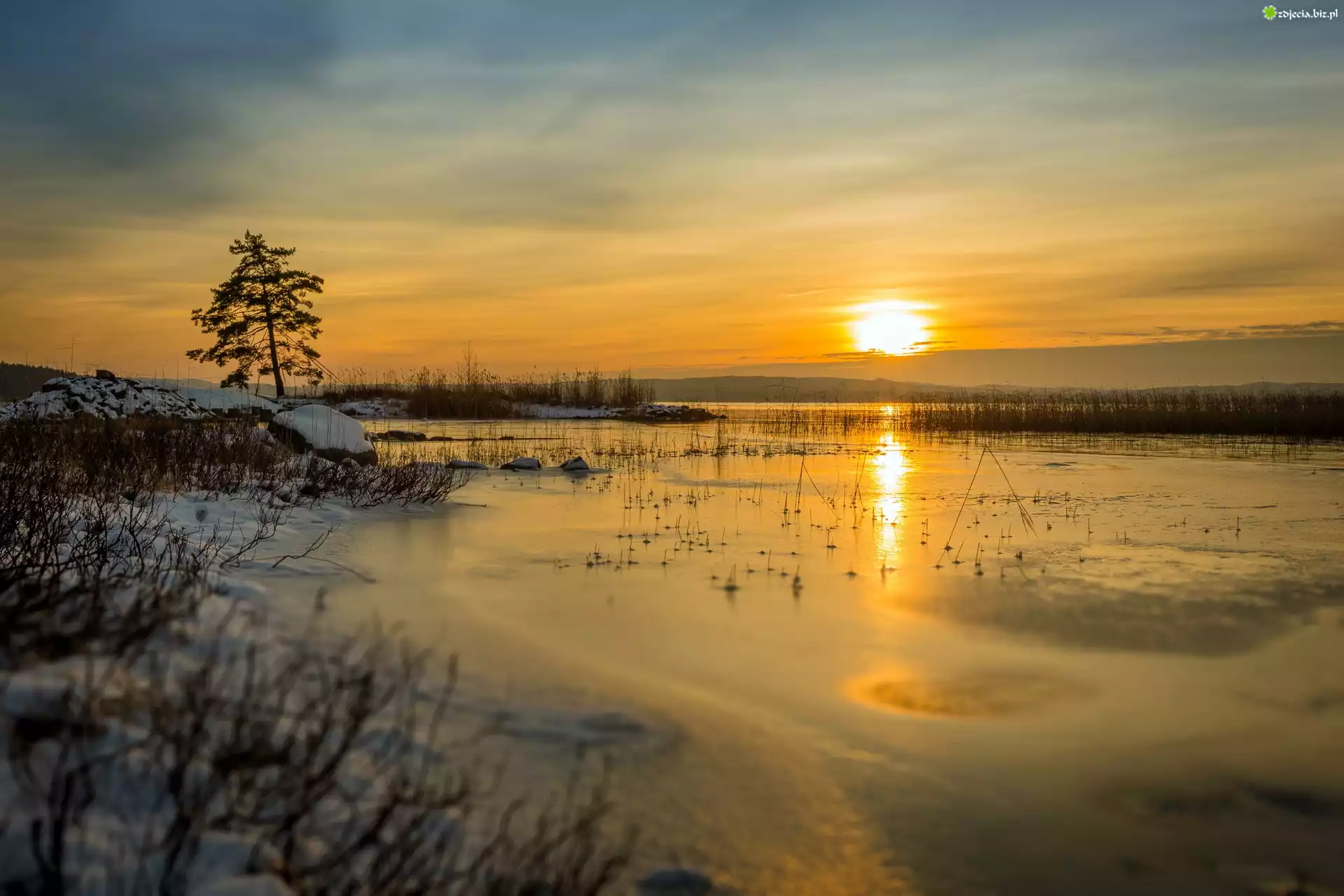 Zima, Jezioro Glafsfjorden, Wschód słońca, Drzewo, Szwecja