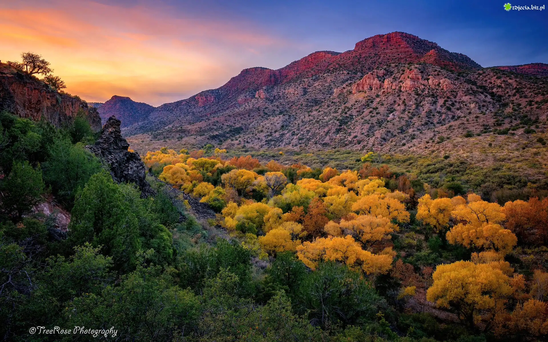Jesień, Kolorowe, Drzewa, Góry, Kanion Sycamore, Arizona, Stany Zjednoczone