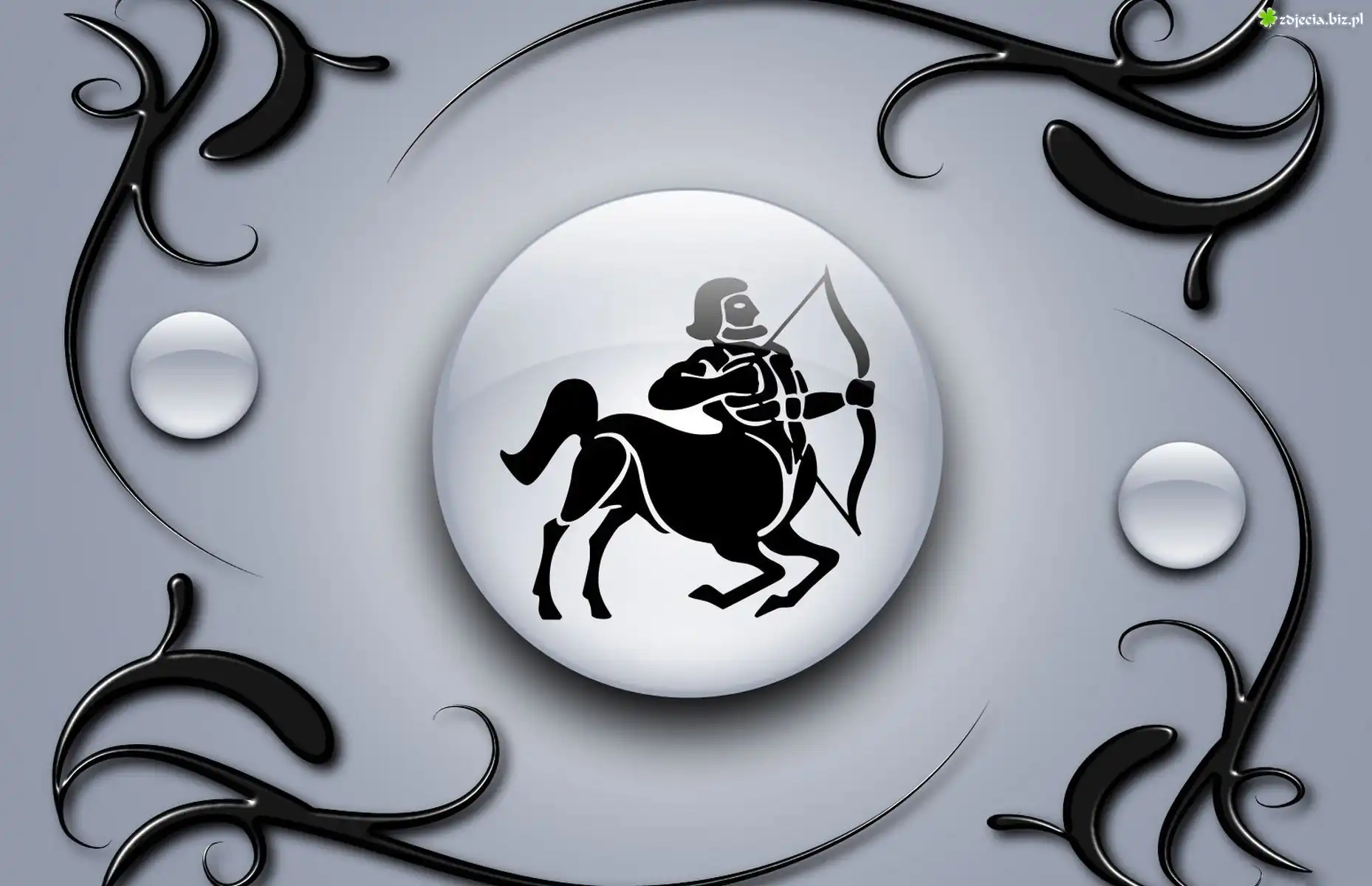 Znak, Zodiaku, Strzelec
