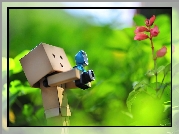 Danbo, Fotograf