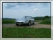 Ferrari 275, Polna, Droga