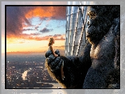 Film, King Kong, Dziewczyna