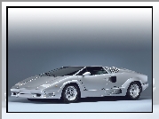 Lamborghini Countach, Masywne, Wloty