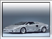 Lamborghini Countach, Masywne, Wloty