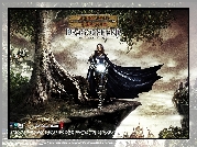 Dragonshard, postać, kobieta, peleryna, zamek, drzewo