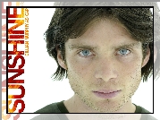 Sunshine, Cillian Murphy, twarz, oczy, napis