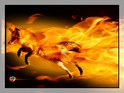 Ognisty, Lis, Logo, Firefox