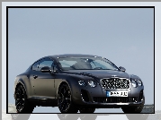 Bentley Continental GTC, Reflektory