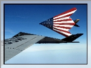 F-117 Nighthawk, Flaga, USA