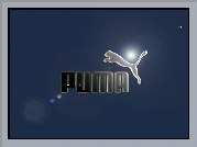 Nazwa, Puma, Logo, Niebieskie, Tło