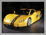 Ascari A10