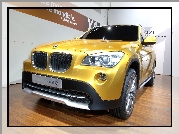 BMW X1, Salon, Concept, Car