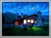 Koń, Dom, Noc, Cabin, Montana