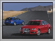 Audi A4 B8, Sedan, Avant