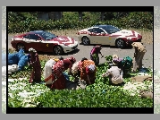 Ferrari 612 Scaglietti, Afryka