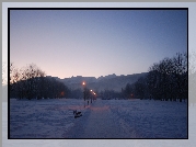 Góry, Zakopane, Zima, Alejka