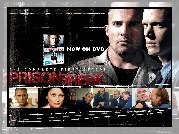 zdjęcia, Prison Break, Skazany na śmierć, Dominic Purcell, Wentworth Miller, Robin Tunney