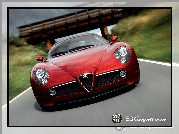 Alfa Romeo 8C Competizione