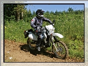 Suzuki DRZ 400S