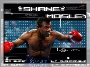 Boks,Shane Mosley