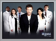 Dr. House, Lekarze