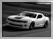 Biały, Chevrolet Camaro, SSX