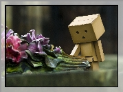 Danbo, Kwiaty