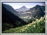 Góry