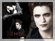 Edward Cullen, Zmierzch