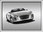 Audi e-Tron, Detroit