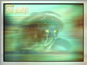Legacy Of Kain Soul Reaver 2, postać, twarz