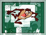 Diabeł Tasmański, Tasmanian Devil