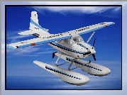 Cessna 185, Skywagon, Grafika