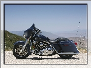 Harley-Davidson Touring Street Glide, Elementy, Chromowane