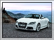 Audi TT, Roadster