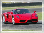 Ferrari Enzo, F60