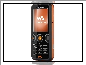 Sony Ericsson W880i, Czarny