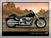 Harley Davidson Fat Boy, Reklama